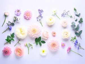 色とりどりのたくさんの花