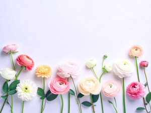 色とりどりのたくさんの花