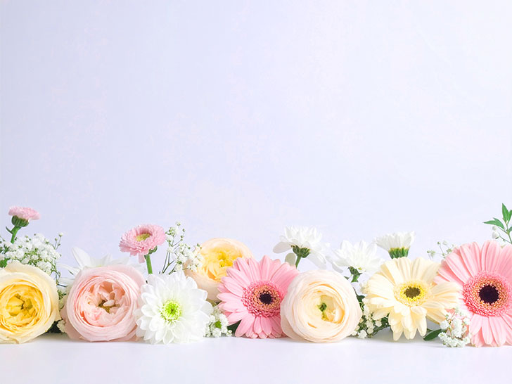 色とりどりのたくさんの花