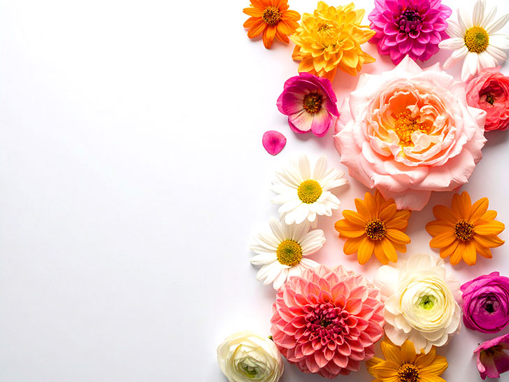 色とりどりのたくさんの花